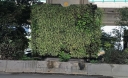 EUM20250716SOC06.JPG