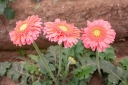 Filename=EUM20250509SOC08.jpg
Filesize=1438KiB
Dimensions=2048x1364
Date added=May 09, 2025 EUM20250509SOC08.jpg