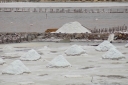 EUM20250614NAC03.jpg