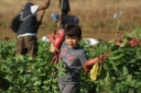 Filename=EUM20251220NAC03.jpg
Filesize=1295KiB
Dimensions=2048x1365
Date added=Dec 20, 2025 EUM20251220NAC03.jpg