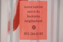 EUM20250717NAC07.JPG