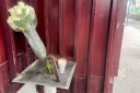 Filename=EUM20250911SOC33.JPG
Filesize=1388KiB
Dimensions=2048x1365
Date added=Sep 11, 2025 EUM20250911SOC33.JPG