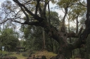 Filename=EUM20251023SOC21.JPG
Filesize=1693KiB
Dimensions=2048x1365
Date added=Oct 23, 2025 EUM20251023SOC21.JPG