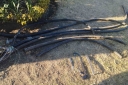 EUM20250508SOC53.JPG