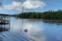 EUM20260320NAC03.JPG