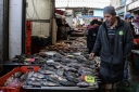 EUM20260321SOC41.JPG