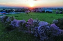 Filename=EUM20260411NAC03.JPG
Filesize=1759KiB
Dimensions=2048x1365
Date added=Apr 11, 2026 EUM20260411NAC03.JPG
