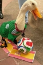 EUM20260718DEP15.JPG