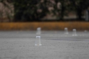 Filename=EUM20261015SOC08.JPG
Filesize=923KiB
Dimensions=2048x1365
Date added=Oct 15, 2026 EUM20261015SOC08.JPG