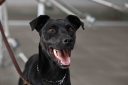 EUM20250710NAC13.JPG