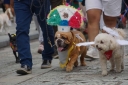 Filename=EUM20250831NAC13.jpg
Filesize=1217KiB
Dimensions=2048x1364
Date added=Aug 31, 2025 EUM20250831NAC13.jpg