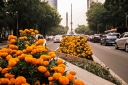 Filename=EUM20251016SOC04.JPG
Filesize=2169KiB
Dimensions=2048x1365
Date added=Oct 16, 2025 EUM20251016SOC04.JPG