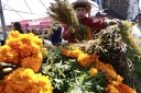 Filename=EUM20251027SOC25.jpg
Filesize=2190KiB
Dimensions=2048x1365
Date added=Oct 27, 2025 EUM20251027SOC25.jpg