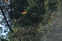 EUM20251122NAC18.jpg