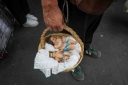 Filename=EUM20260201SOC15.jpg
Filesize=1025KiB
Dimensions=2048x1365
Date added=Feb 01, 2026 EUM20260201SOC15.jpg