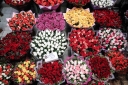 Filename=EUM20260507SOC26.jpg
Filesize=3031KiB
Dimensions=2048x1365
Date added=May 07, 2026 EUM20260507SOC26.jpg