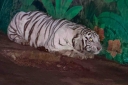 Filename=EUM20260824SOC22.JPG
Filesize=1331KiB
Dimensions=2048x1365
Date added=Aug 24, 2026 EUM20260824SOC22.JPG