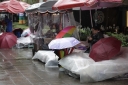 Filename=EUM20250707SOC15.jpg
Filesize=1354KiB
Dimensions=2048x1365
Date added=Jul 07, 2025 EUM20250707SOC15.jpg