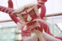 EUM20251223NAC03.JPG