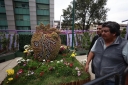EUM20260616SOC16.JPG