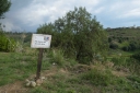 EUM20260618SOC19.JPG