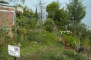 EUM20260618SOC24.JPG