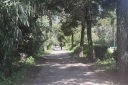 Filename=EUM20250928SOC30.JPG
Filesize=2303KiB
Dimensions=2048x1365
Date added=Sep 28, 2025 EUM20250928SOC30.JPG