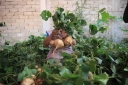 Filename=EUM20261025NAC02.JPG
Filesize=1571KiB
Dimensions=2048x1365
Date added=Oct 25, 2026 EUM20261025NAC02.JPG
